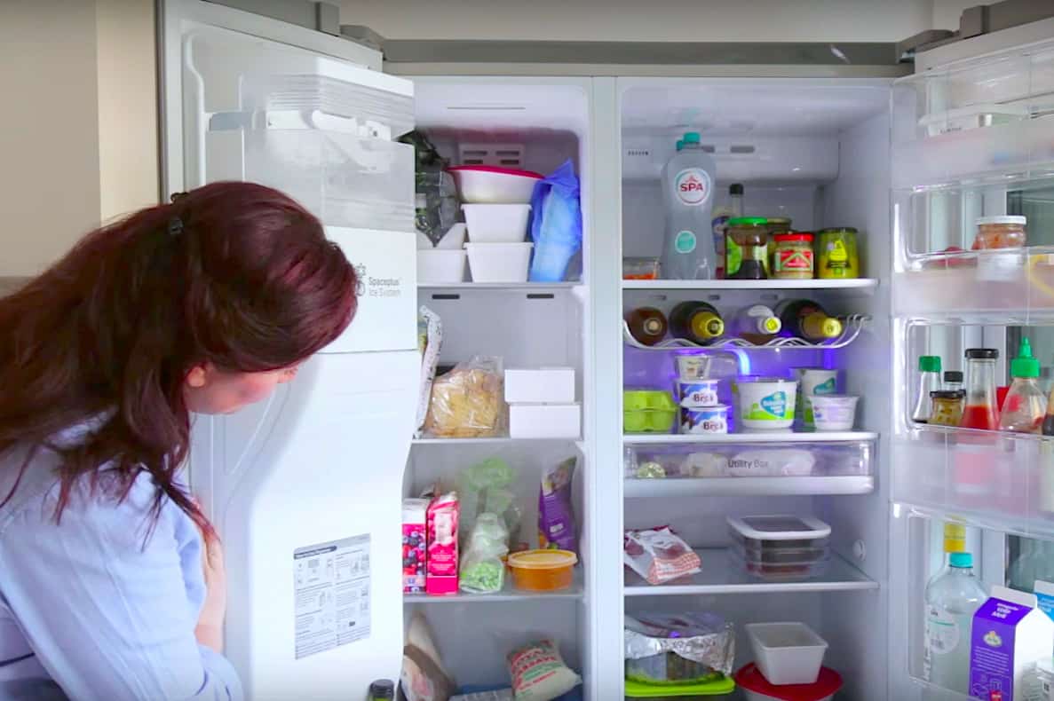 Leegte Vervuild Grommen Bewaartips voor je koelkast en vriezer - Francesca Kookt